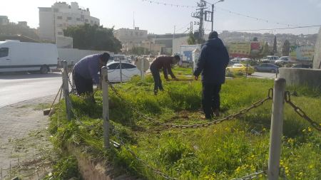 رش وتعشيب بعض الجزر والشوارع 