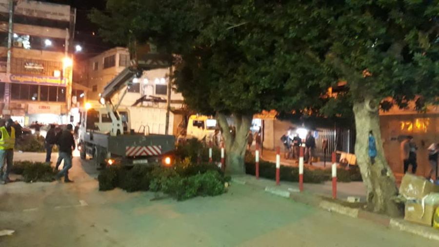 قص وتقليم الاشجار التي تشكل خطرا على شبكة الكهرباء 